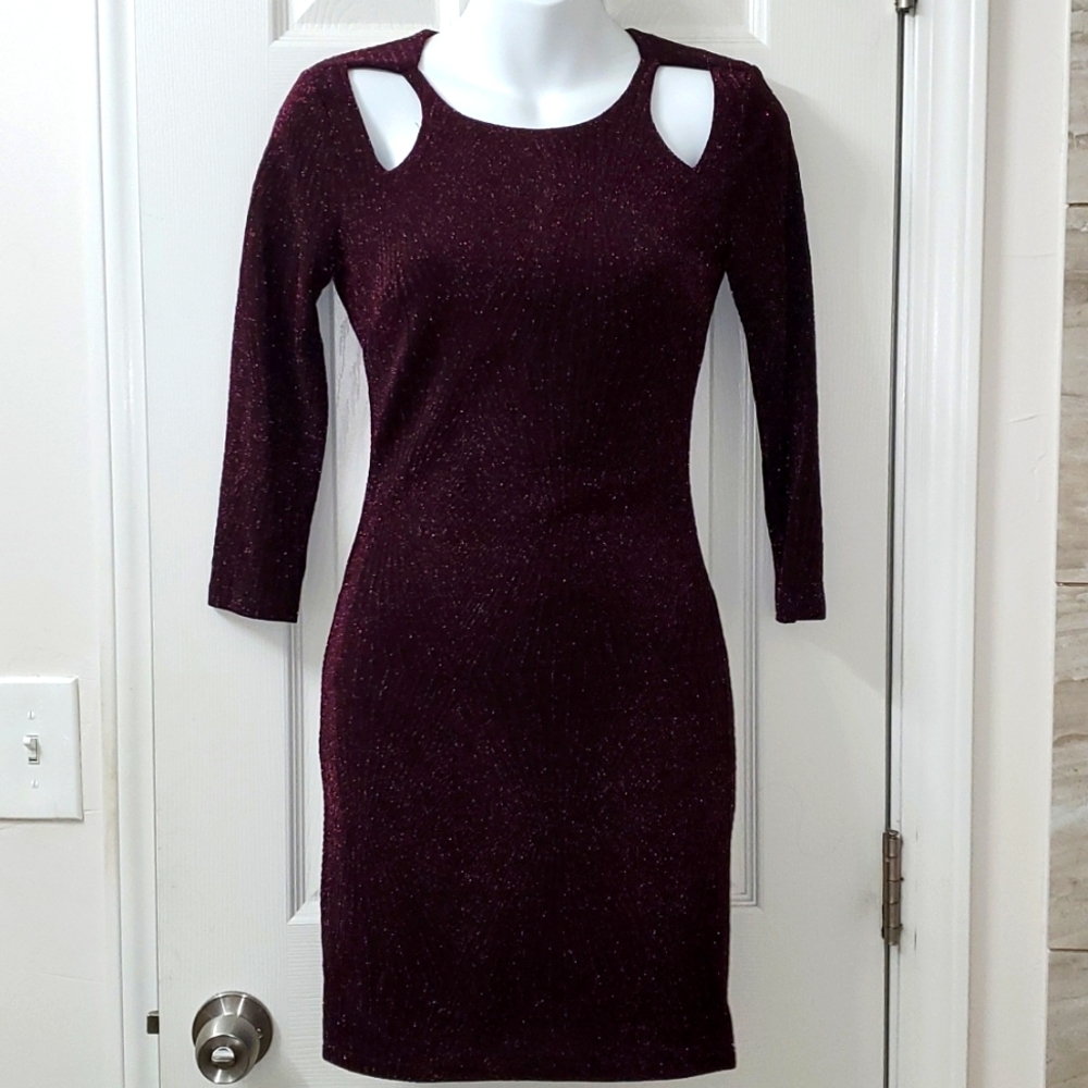 Shimmery Dress NEW